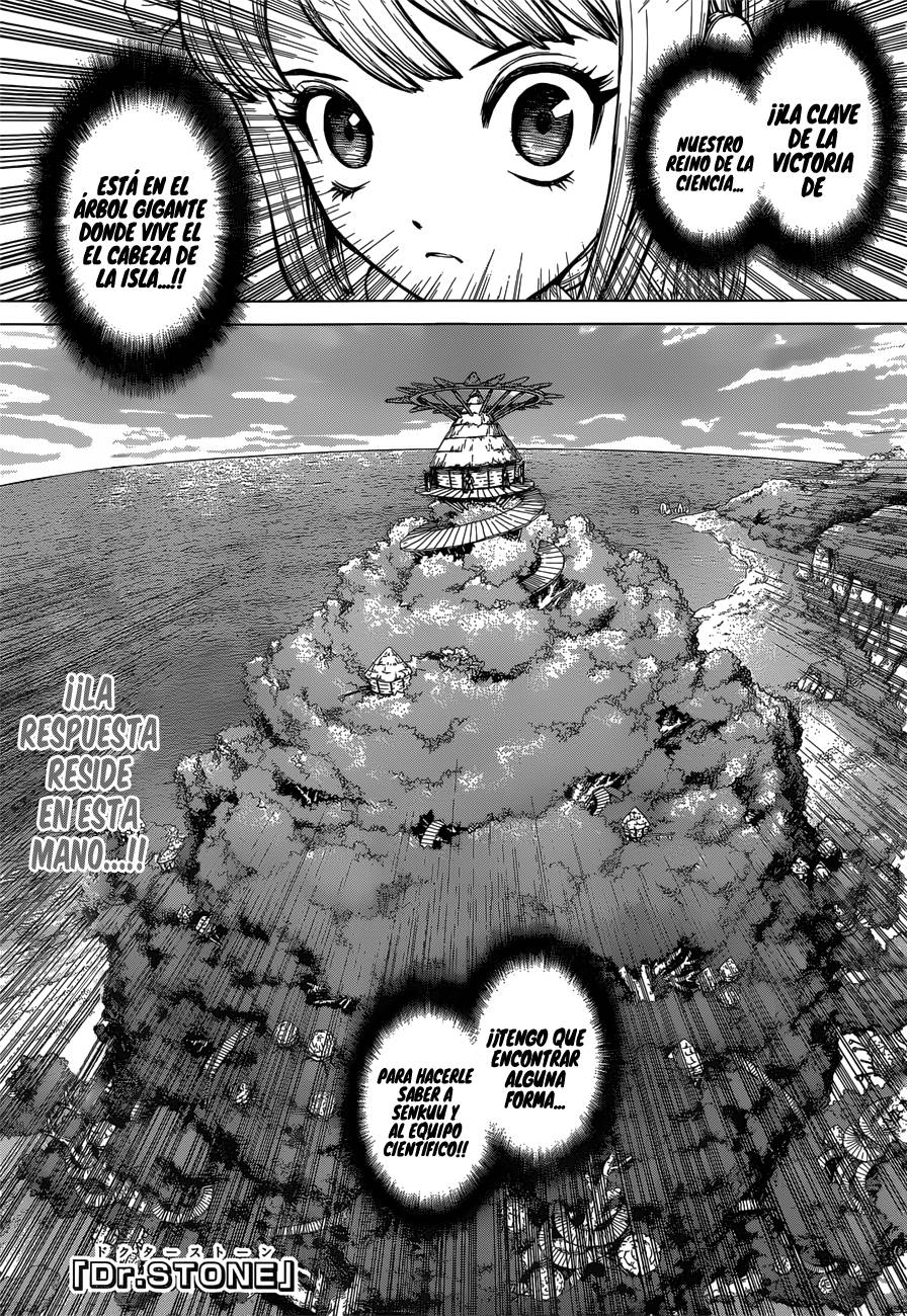 Dr. Stone: Chapter 113 - Page 1