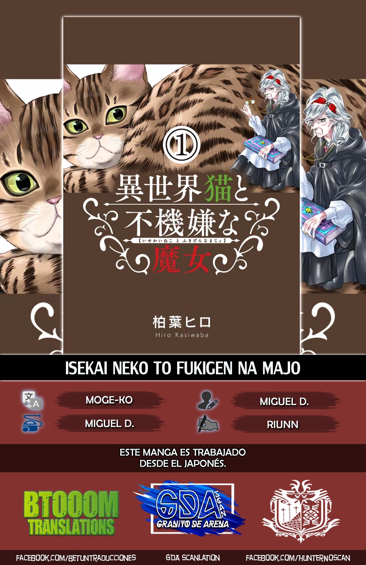 Isekai Neko to Fukigen na Majo: Chapter 2-18cpc - Page 1